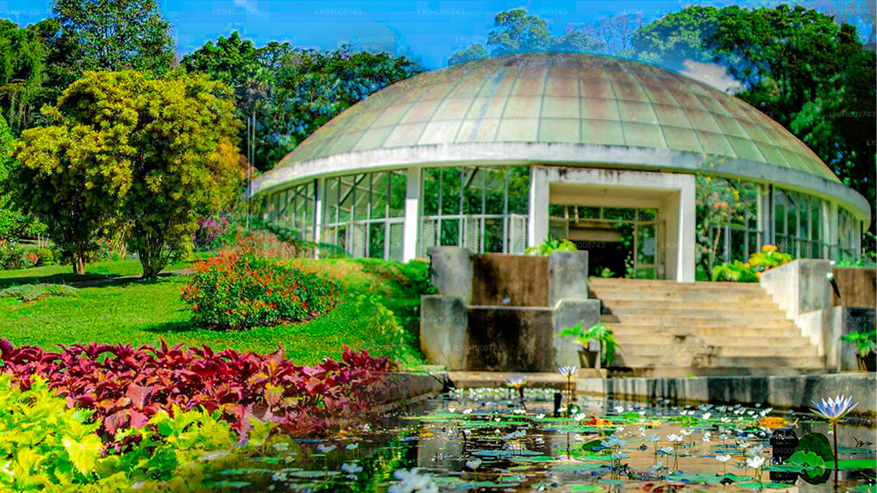 Visit the Royal Botanical Gardens, Peradeniya